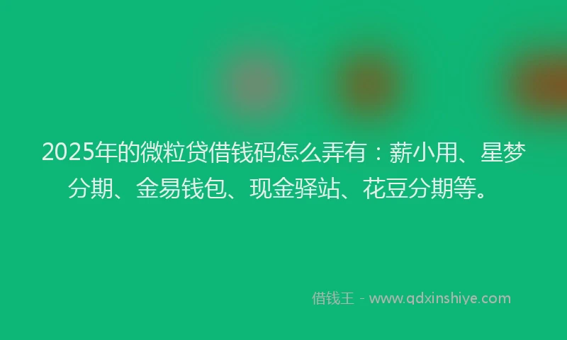 2025年的微粒贷借钱码怎么弄有：薪小用、星梦分期、金易钱包、现金驿站、花豆分期等。