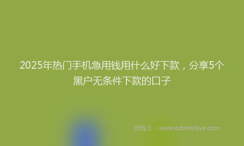 2025年热门手机急用钱用什么好下款，分享5个黑户无条件下款的口子