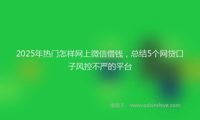 2025年热门怎样网上微信借钱，总结5个网贷口子风控不严的平台
