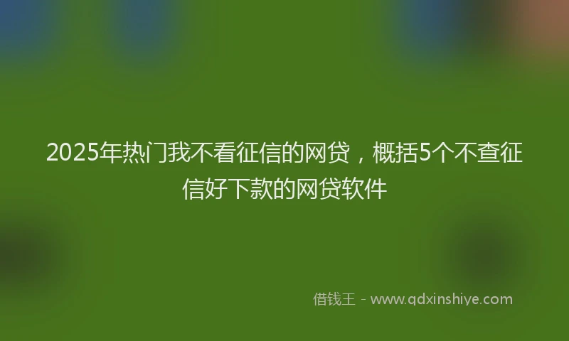2025年热门我不看征信的网贷，概括5个不查征信好下款的网贷软件