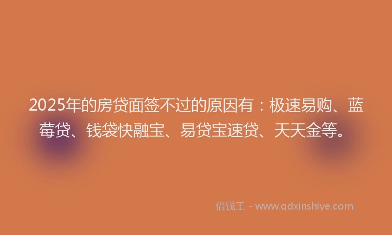 2025年的房贷面签不过的原因有：极速易购、蓝莓贷、钱袋快融宝、易贷宝速贷、天天金等。
