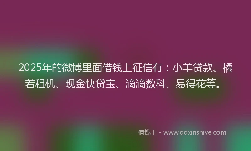2025年的微博里面借钱上征信有：小羊贷款、橘若租机、现金快贷宝、滴滴数科、易得花等。