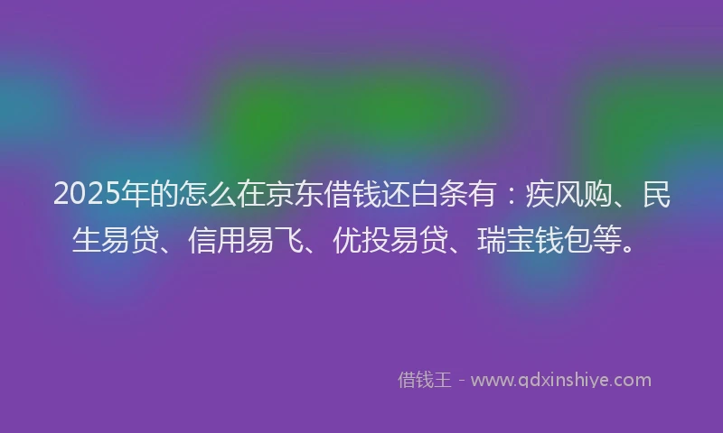 2025年的怎么在京东借钱还白条有：疾风购、民生易贷、信用易飞、优投易贷、瑞宝钱包等。