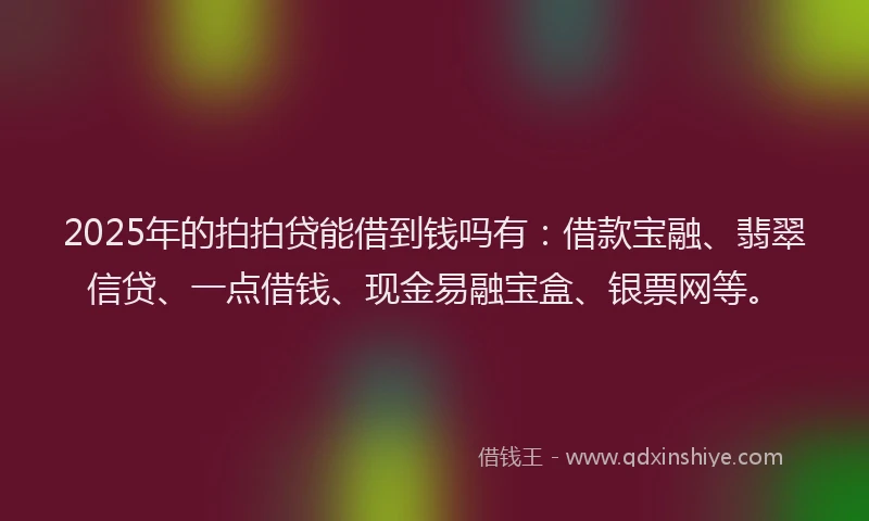 2025年的拍拍贷能借到钱吗有：借款宝融、翡翠信贷、一点借钱、现金易融宝盒、银票网等。