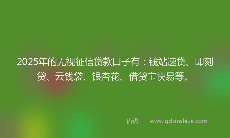 2025年的无视征信贷款口子有：钱站速贷、即刻贷、云钱袋、银杏花、借贷宝快易等。