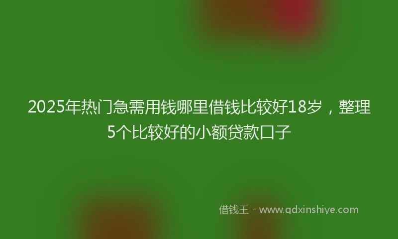2025年热门急需用钱哪里借钱比较好18岁，整理5个比较好的小额贷款口子