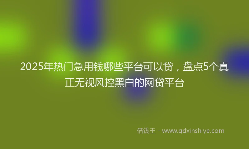2025年热门急用钱哪些平台可以贷，盘点5个真正无视风控黑白的网贷平台