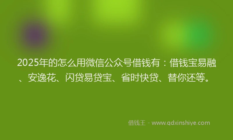 2025年的怎么用微信公众号借钱有：借钱宝易融、安逸花、闪贷易贷宝、省时快贷、替你还等。