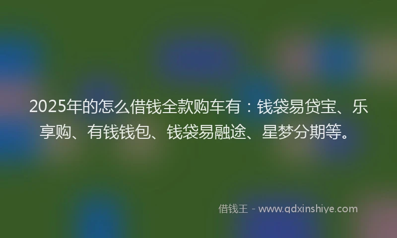 2025年的怎么借钱全款购车有：钱袋易贷宝、乐享购、有钱钱包、钱袋易融途、星梦分期等。