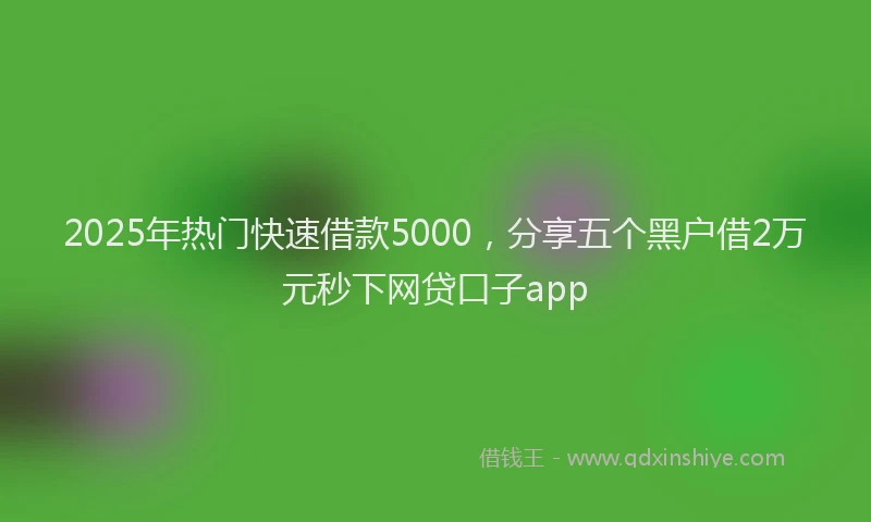 2025年热门快速借款5000，分享五个黑户借2万元秒下网贷口子app