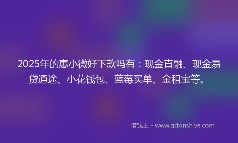 2025年的惠小微好下款吗有：现金直融、现金易贷通途、小花钱包、蓝莓买单、金租宝等。