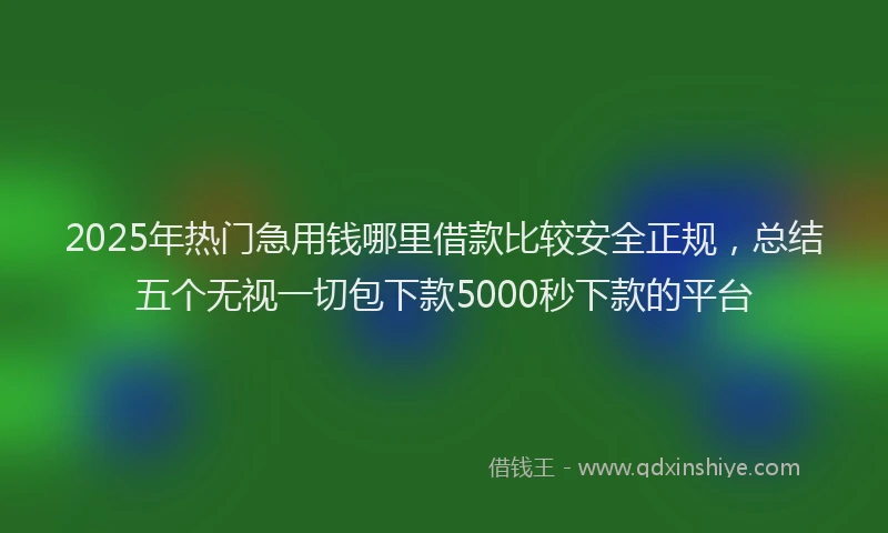 2025年热门急用钱哪里借款比较安全正规，总结五个无视一切包下款5000秒下款的平台
