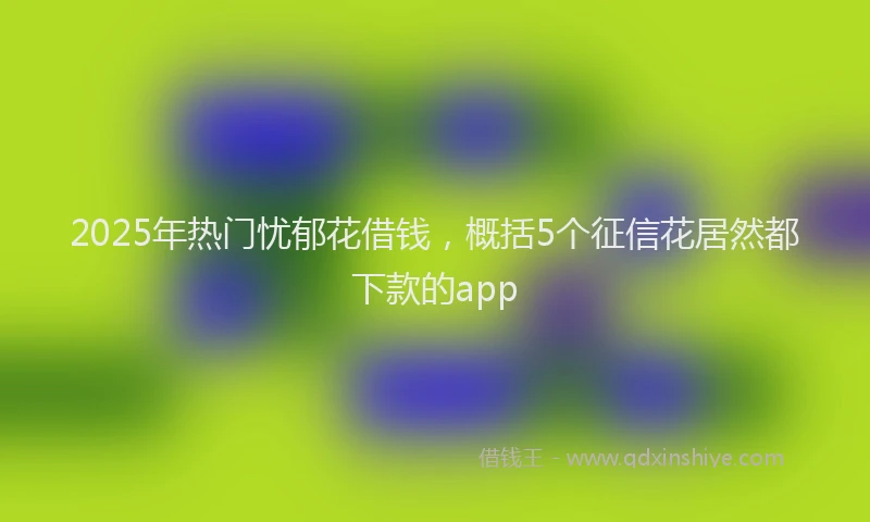 2025年热门忧郁花借钱，概括5个征信花居然都下款的app