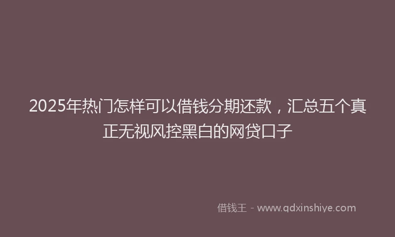 2025年热门怎样可以借钱分期还款，汇总五个真正无视风控黑白的网贷口子