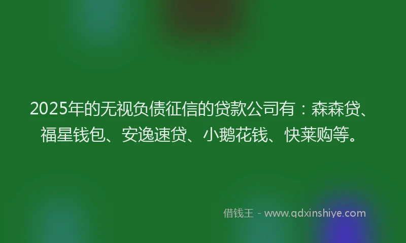 2025年的无视负债征信的贷款公司有：森森贷、福星钱包、安逸速贷、小鹅花钱、快莱购等。