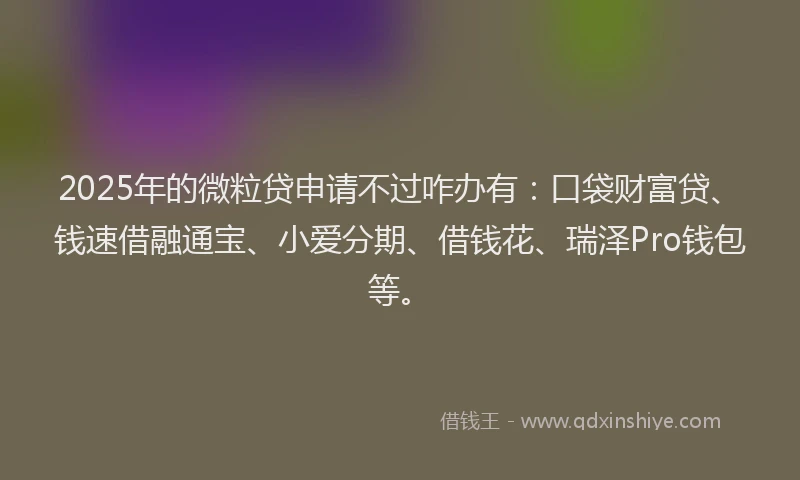 2025年的微粒贷申请不过咋办有：口袋财富贷、钱速借融通宝、小爱分期、借钱花、瑞泽Pro钱包等。