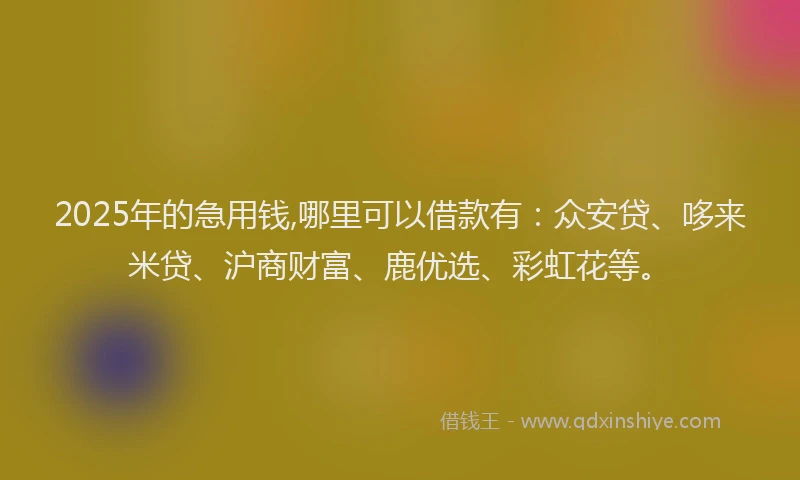 2025年的急用钱,哪里可以借款有：众安贷、哆来米贷、沪商财富、鹿优选、彩虹花等。