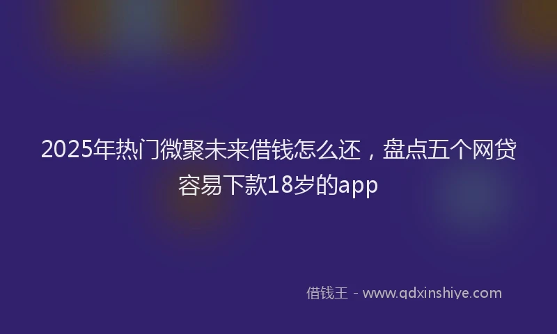 2025年热门微聚未来借钱怎么还，盘点五个网贷容易下款18岁的app