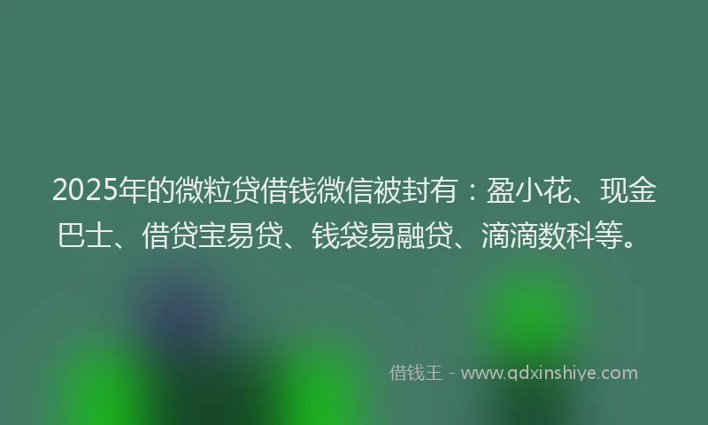 2025年的微粒贷借钱微信被封有：盈小花、现金巴士、借贷宝易贷、钱袋易融贷、滴滴数科等。