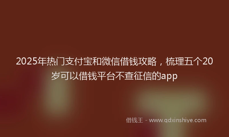 2025年热门支付宝和微信借钱攻略，梳理五个20岁可以借钱平台不查征信的app