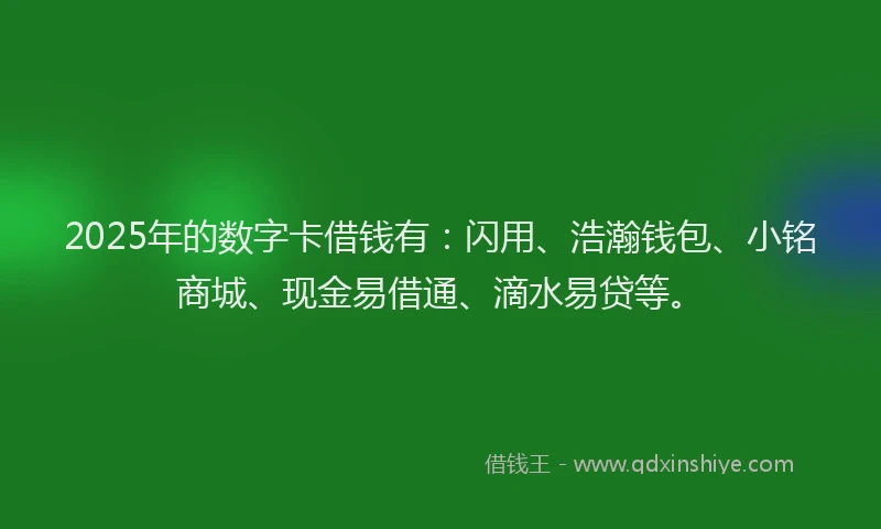 2025年的数字卡借钱有：闪用、浩瀚钱包、小铭商城、现金易借通、滴水易贷等。