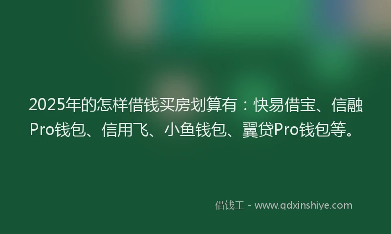 2025年的怎样借钱买房划算有：快易借宝、信融Pro钱包、信用飞、小鱼钱包、翼贷Pro钱包等。