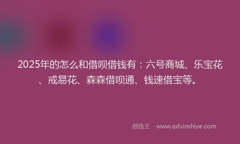 2025年的怎么和借呗借钱有：六号商城、乐宝花、戒易花、森森借呗通、钱速借宝等。