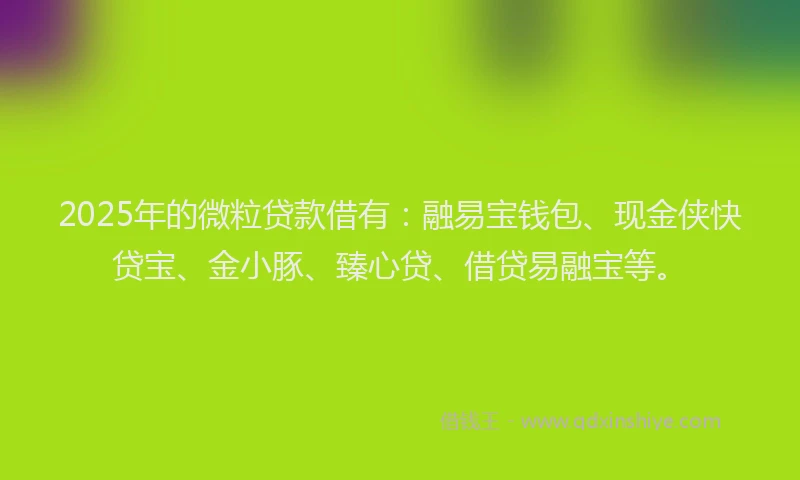 2025年的微粒贷款借有：融易宝钱包、现金侠快贷宝、金小豚、臻心贷、借贷易融宝等。