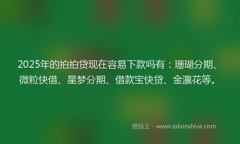 2025年的拍拍贷现在容易下款吗有：珊瑚分期、微粒快借、星梦分期、借款宝快贷、金瀛花等。