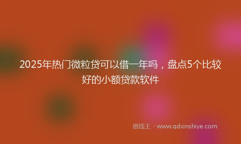 2025年热门微粒贷可以借一年吗，盘点5个比较好的小额贷款软件