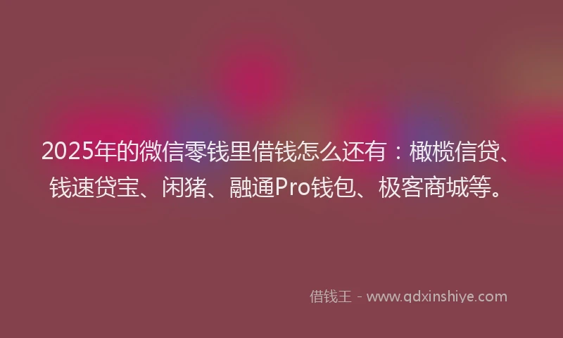 2025年的微信零钱里借钱怎么还有：橄榄信贷、钱速贷宝、闲猪、融通Pro钱包、极客商城等。