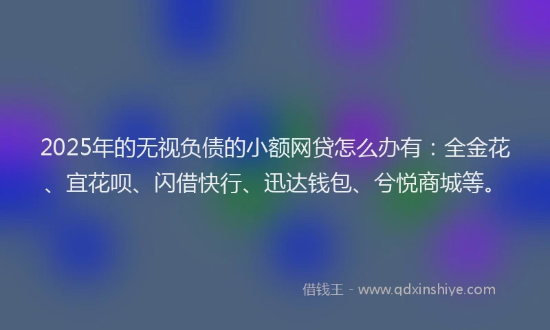 2025年的无视负债的小额网贷怎么办有：全金花、宜花呗、闪借快行、迅达钱包、兮悦商城等。