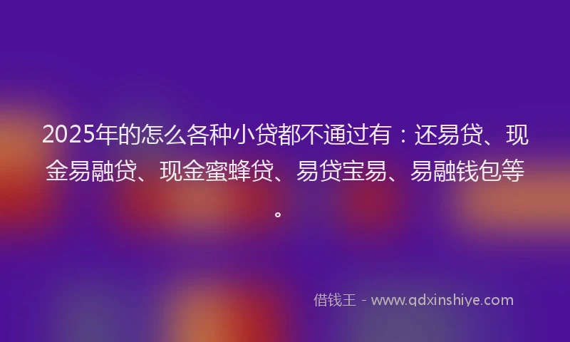 2025年的怎么各种小贷都不通过有：还易贷、现金易融贷、现金蜜蜂贷、易贷宝易、易融钱包等。