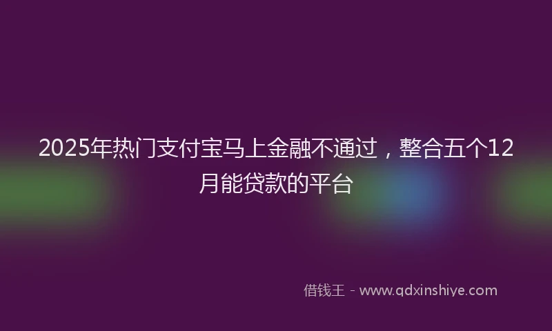 2025年热门支付宝马上金融不通过，整合五个12月能贷款的平台