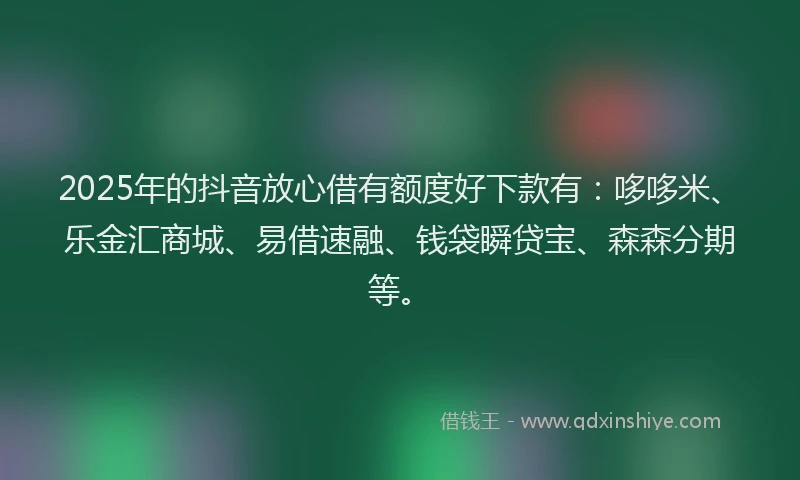 2025年的抖音放心借有额度好下款有：哆哆米、乐金汇商城、易借速融、钱袋瞬贷宝、森森分期等。