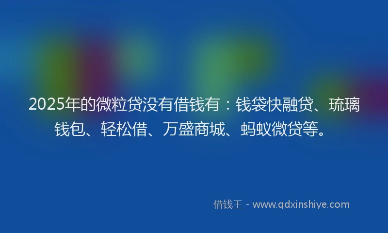 2025年的微粒贷没有借钱有：钱袋快融贷、琉璃钱包、轻松借、万盛商城、蚂蚁微贷等。