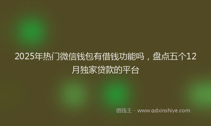 2025年热门微信钱包有借钱功能吗，盘点五个12月独家贷款的平台