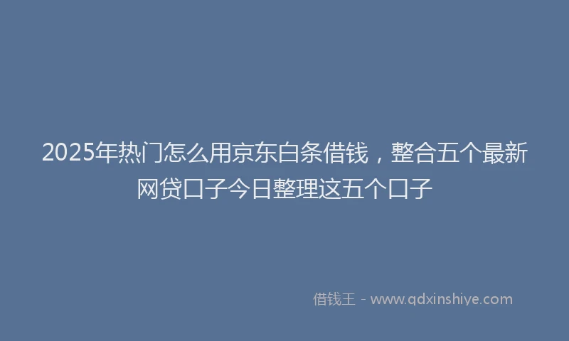 2025年热门怎么用京东白条借钱，整合五个最新网贷口子今日整理这五个口子