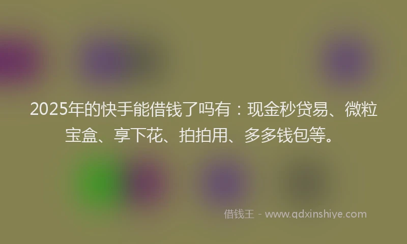 2025年的快手能借钱了吗有：现金秒贷易、微粒宝盒、享下花、拍拍用、多多钱包等。