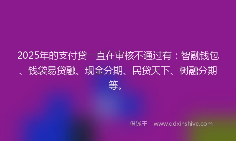 2025年的支付贷一直在审核不通过有：智融钱包、钱袋易贷融、现金分期、民贷天下、树融分期等。