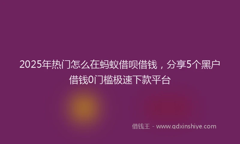 2025年热门怎么在蚂蚁借呗借钱，分享5个黑户借钱0门槛极速下款平台