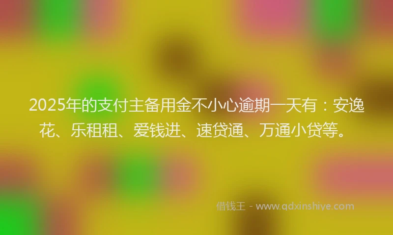 2025年的支付主备用金不小心逾期一天有：安逸花、乐租租、爱钱进、速贷通、万通小贷等。