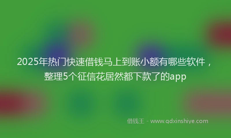 2025年热门快速借钱马上到账小额有哪些软件，整理5个征信花居然都下款了的app