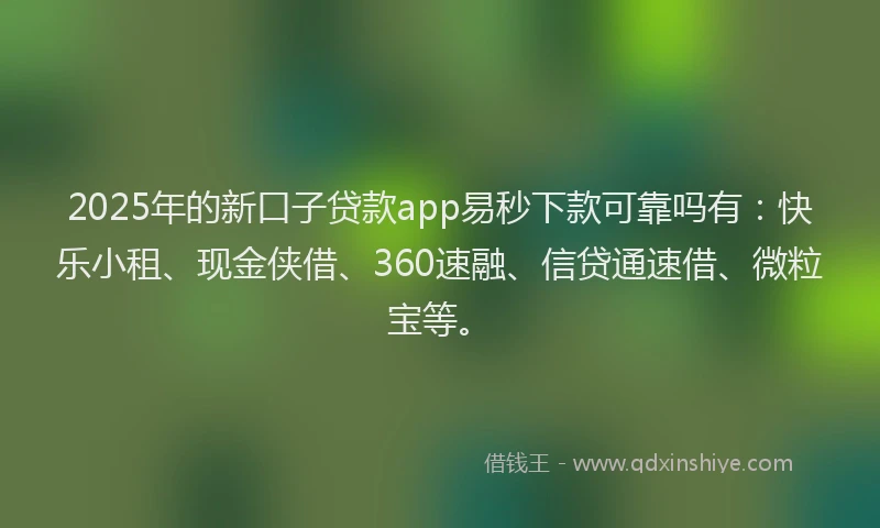 2025年的新口子贷款app易秒下款可靠吗有：快乐小租、现金侠借、360速融、信贷通速借、微粒宝等。