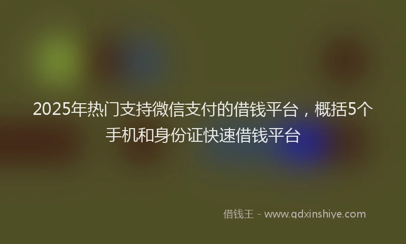 2025年热门支持微信支付的借钱平台，概括5个手机和身份证快速借钱平台