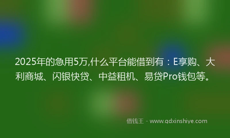 2025年的急用5万,什么平台能借到有：E享购、大利商城、闪银快贷、中益租机、易贷Pro钱包等。