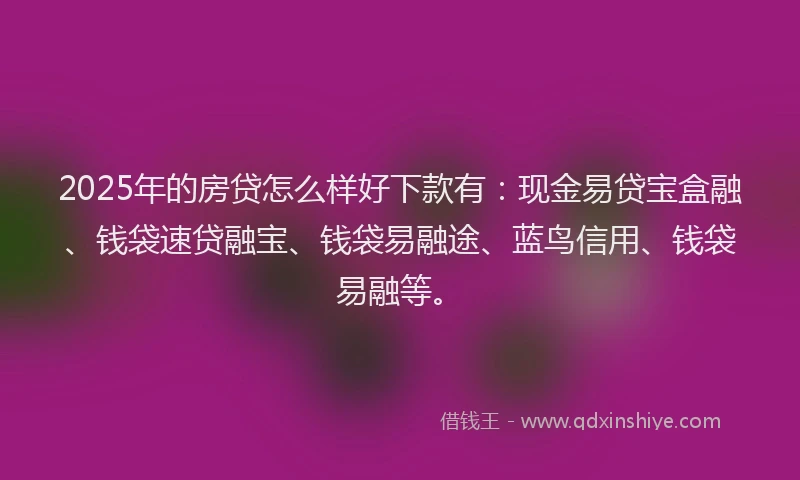 2025年的房贷怎么样好下款有：现金易贷宝盒融、钱袋速贷融宝、钱袋易融途、蓝鸟信用、钱袋易融等。