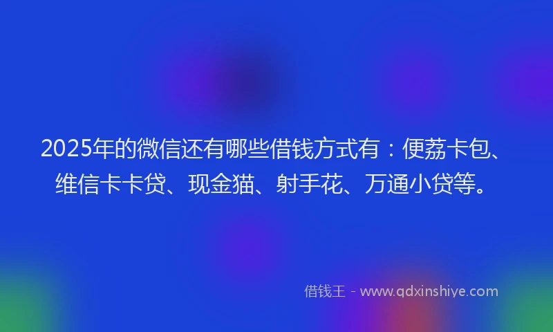 2025年的微信还有哪些借钱方式有：便荔卡包、维信卡卡贷、现金猫、射手花、万通小贷等。