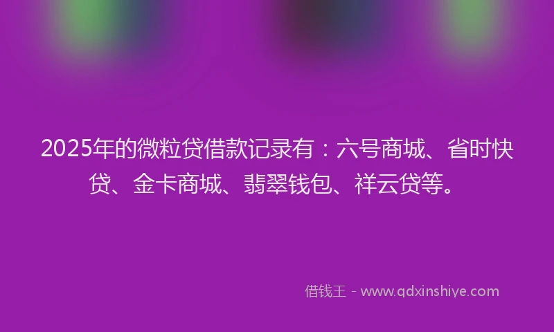 2025年的微粒贷借款记录有：六号商城、省时快贷、金卡商城、翡翠钱包、祥云贷等。