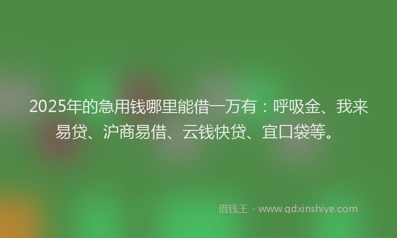 2025年的急用钱哪里能借一万有：呼吸金、我来易贷、沪商易借、云钱快贷、宜口袋等。